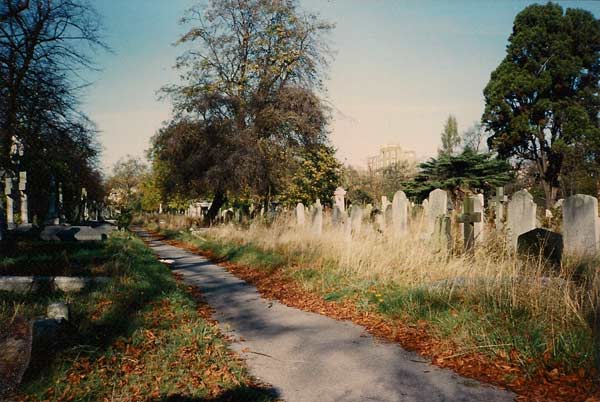 British Boneyard