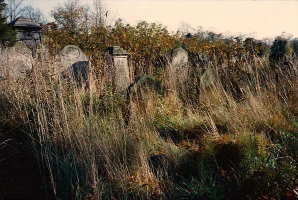 British Boneyard