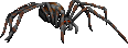 Spider Drop